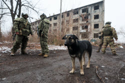 Работа военнослужащих инженерно-саперного батальона в ДНР
