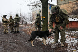 Работа военнослужащих инженерно-саперного батальона в ДНР