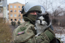 Работа военнослужащих инженерно-саперного батальона в ДНР