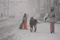Winter Blasts Weather.