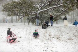 Winter Blasts Weather.