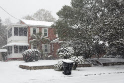 Winter Blasts Weather.
