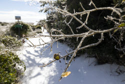 Winter Blasts Weather .