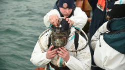 VIDEO. Seabed clean-up in Anapa, Russia