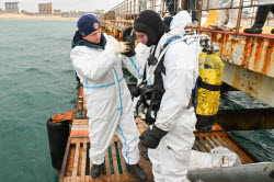 Seabed clean-up in Anapa, Russia