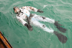 Seabed clean-up in Anapa, Russia