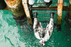Seabed clean-up in Anapa, Russia