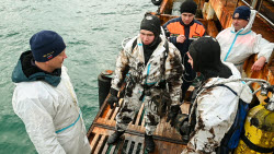 Seabed clean-up in Anapa, Russia