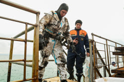 Seabed clean-up in Anapa, Russia