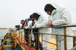 Seabed clean-up in Anapa, Russia