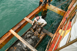 Seabed clean-up in Anapa, Russia