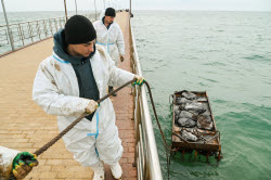 Seabed clean-up in Anapa, Russia