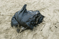 Seabed clean-up in Anapa, Russia