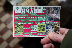 Стрельба агитационными снарядами в зоне СВО