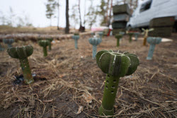Российские военнослужащие на краснолиманском направлении СВО