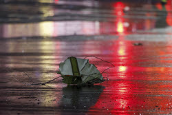 Philadelphia Small Plane Crash.