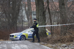 Several dead in central Sweden school shooting