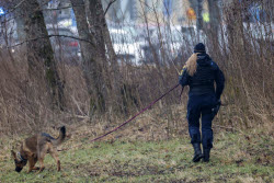 Several dead in central Sweden school shooting