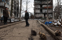 Обстановка в Красногоровке