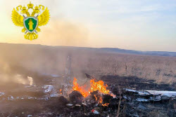 Light-engine plane crashes in Moscow Region