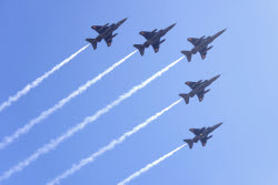 India Aero Show.