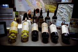 Международная выставка вина и спиртных напитков Wine Paris 2025 в Париже