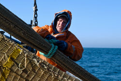 Ловля хамсы в Черном море