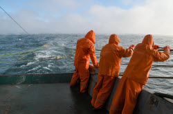 Ловля хамсы в Черном море