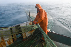 Ловля хамсы в Черном море