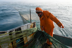 Ловля хамсы в Черном море