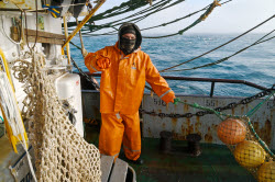 Ловля хамсы в Черном море
