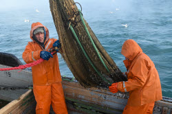 Ловля хамсы в Черном море