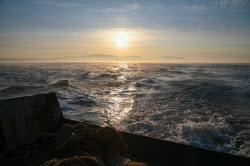 Ловля хамсы в Черном море