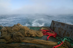 Ловля хамсы в Черном море