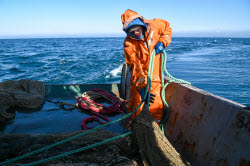 Ловля хамсы в Черном море