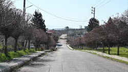 Lebanese check state of destruction of their homes after Israel's disengagement