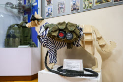Exhibition on naval infantry opens in Vladivostok, Russia