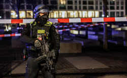 A person has been injured at the Holocaust Memorial in Berlin