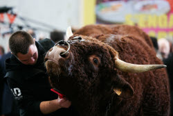 Opening of the annual agricultural fair in Paris