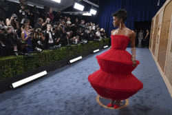 31st Annual SAG Awards - Red Carpet.