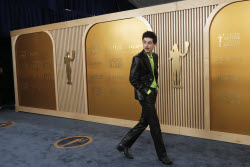31st Annual SAG Awards - Arrivals.
