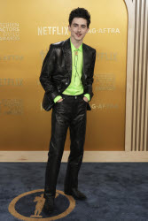 31st Annual SAG Awards - Arrivals.
