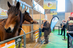 61st Agricultural Fair - Paris