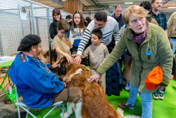 61st Agricultural Fair - Paris