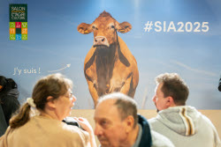 61st Agricultural Fair - Paris
