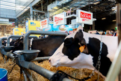 61st Agricultural Fair - Paris