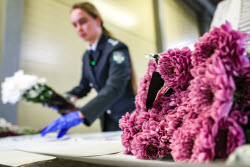 Customs and phytosanitary control of flowers in Yekaterinburg, Russia