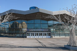 Great Moscow State Circus