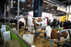 Illustration Agriculturel Fair - Paris