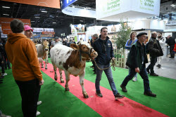 Illustration Agriculturel Fair - Paris